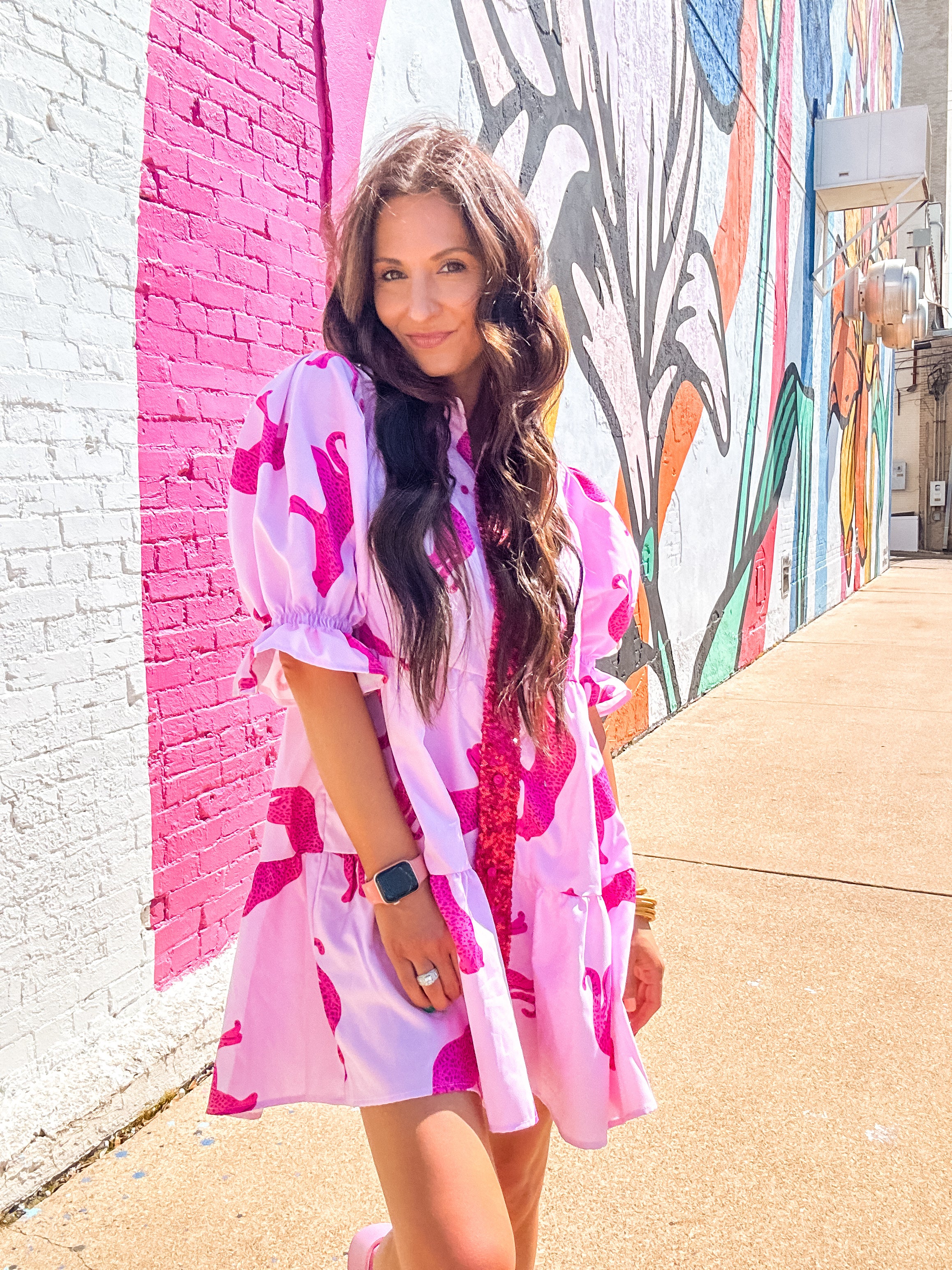 Cheetah Print Shirt Dress